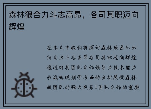 森林狼合力斗志高昂，各司其职迈向辉煌